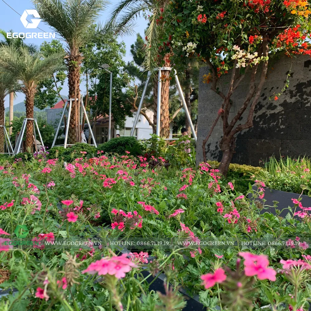 Góc nhỏ nào cũng ngập tràn sắc hoa bốn mùa.